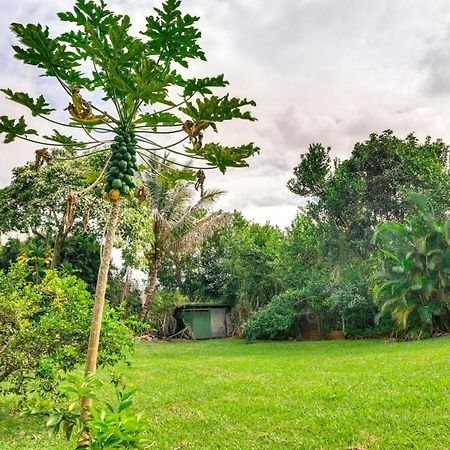 Charming Historic Hilo House Minutes To Beach! Eksteriør billede