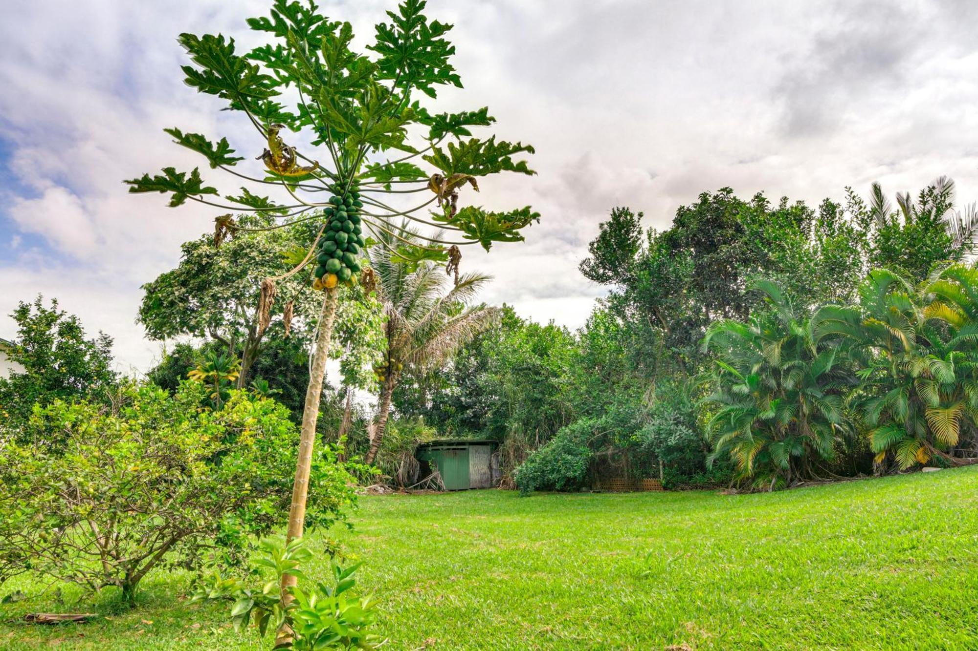 Charming Historic Hilo House Minutes To Beach! Eksteriør billede